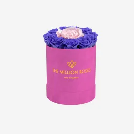 Basic Hot Pink Suede Box | Violet & Light Pink Mini Roses