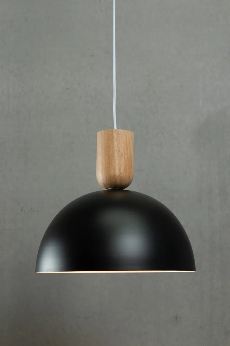 Dome Nord Pendant Light