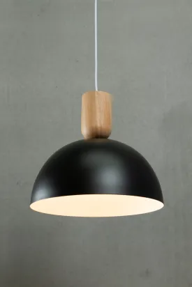 Dome Nord Pendant Light